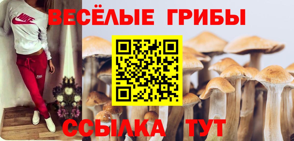 Галлюциногенные грибы MAGIC MUSHROOMS  Галлюциногенные грибы мицелий  Вход с VPN  Тимашёвск 