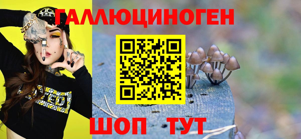 Галлюциногенные грибы GOLDEN TEACHER Тимашёвск