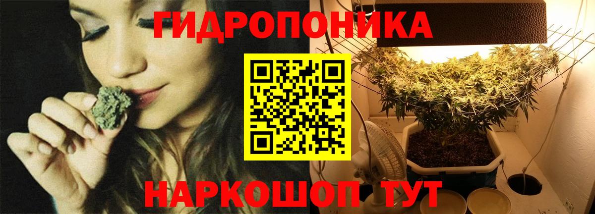 Марихуана сатива Тимашёвск